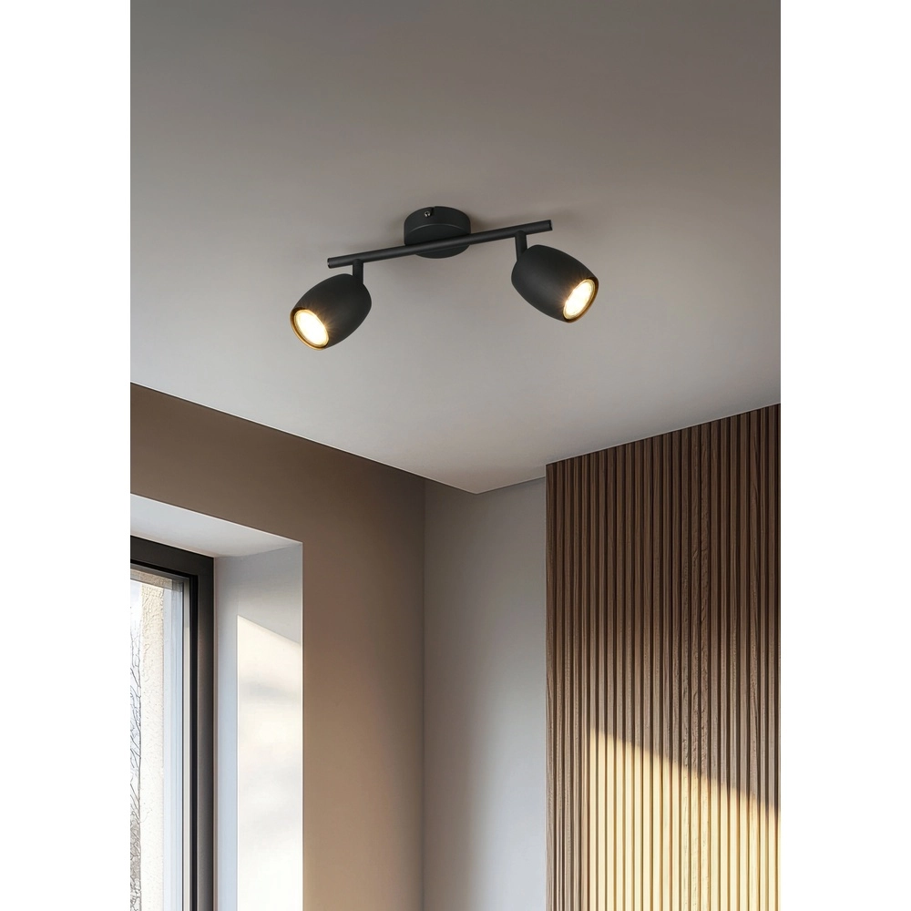 Ceiling lamp Nancy 2-light black Trio 4017807656602