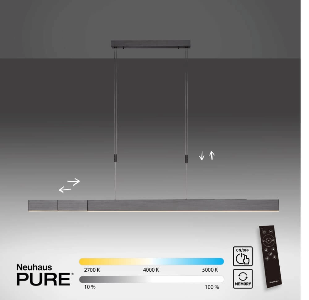 LED hanging lamp Pure-Moto brushed anthracite Paul Neuhaus 4012248363751