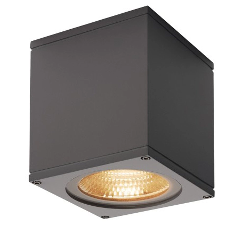 LED spot Big Theo for outside