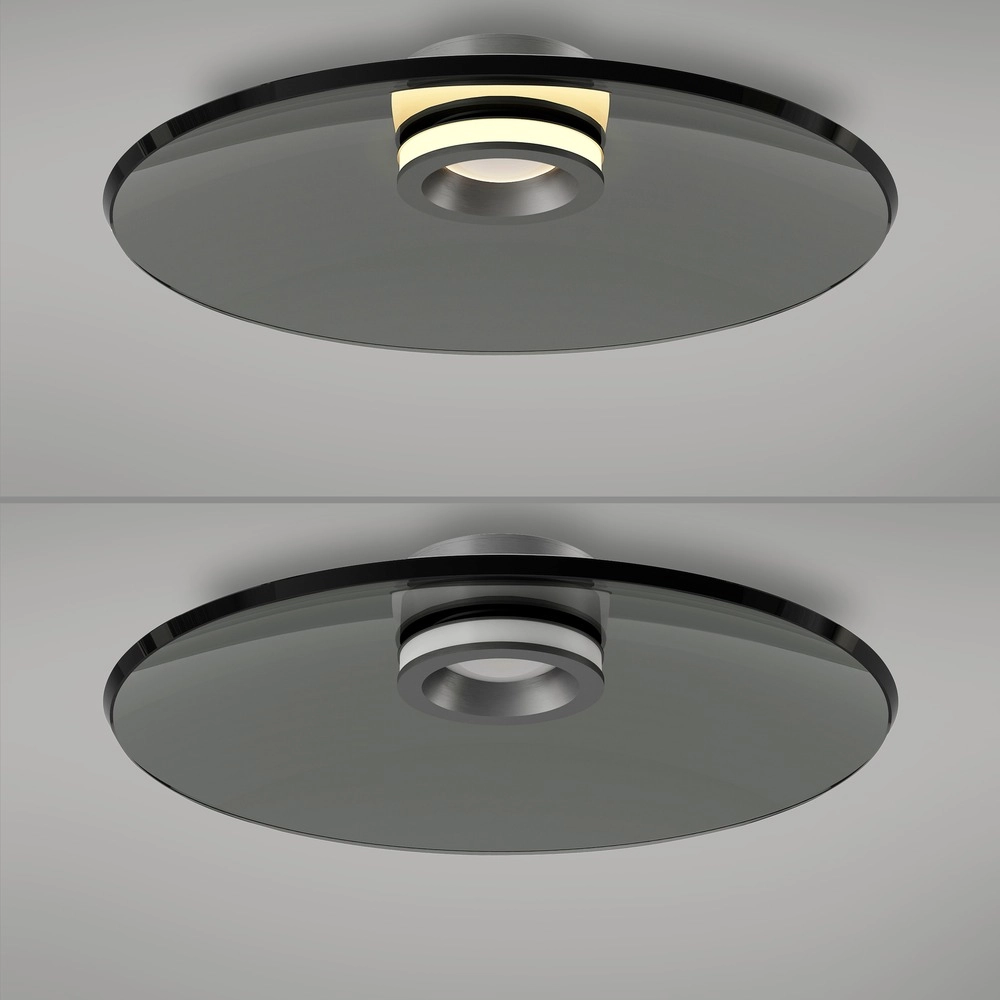 Ceiling lamp Pure Moon Ø 50cm - platinum with smoke glass Paul Neuhaus 4012248386347