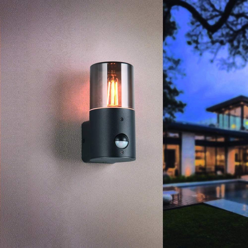 Wall lamp Hoosic only with sensor Trio 4017807603620