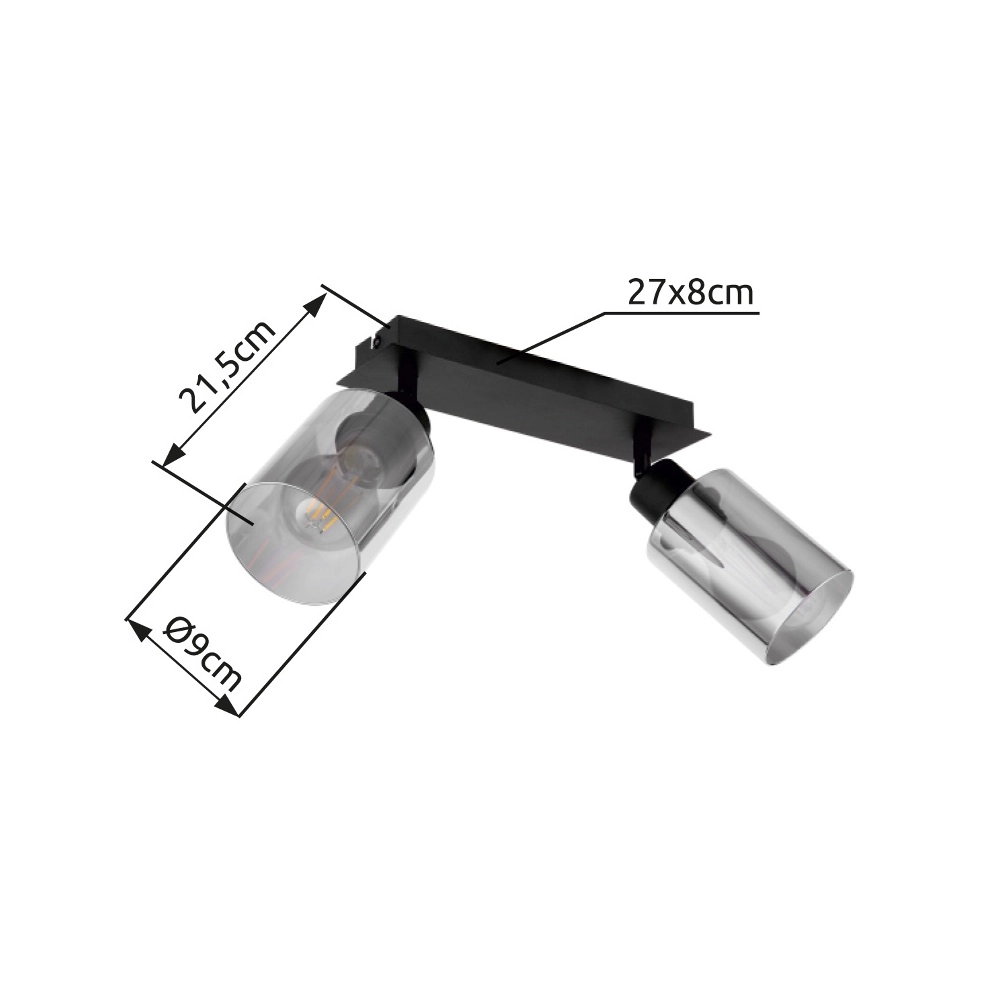 Ceiling lamp Hadera 2-light black with smoke glass Globo 9007371440214