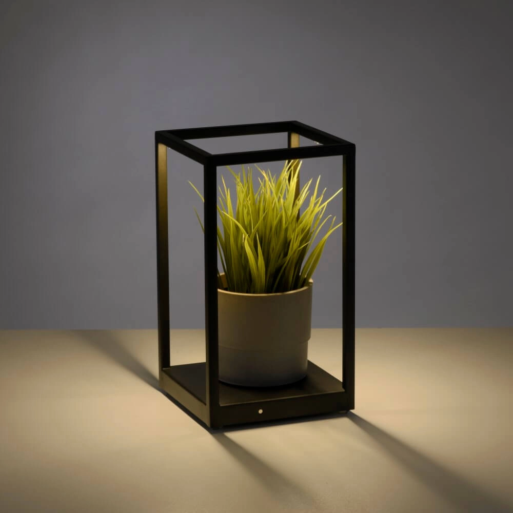 Sleek table lamp Conni black Paul Neuhaus 4012248359419