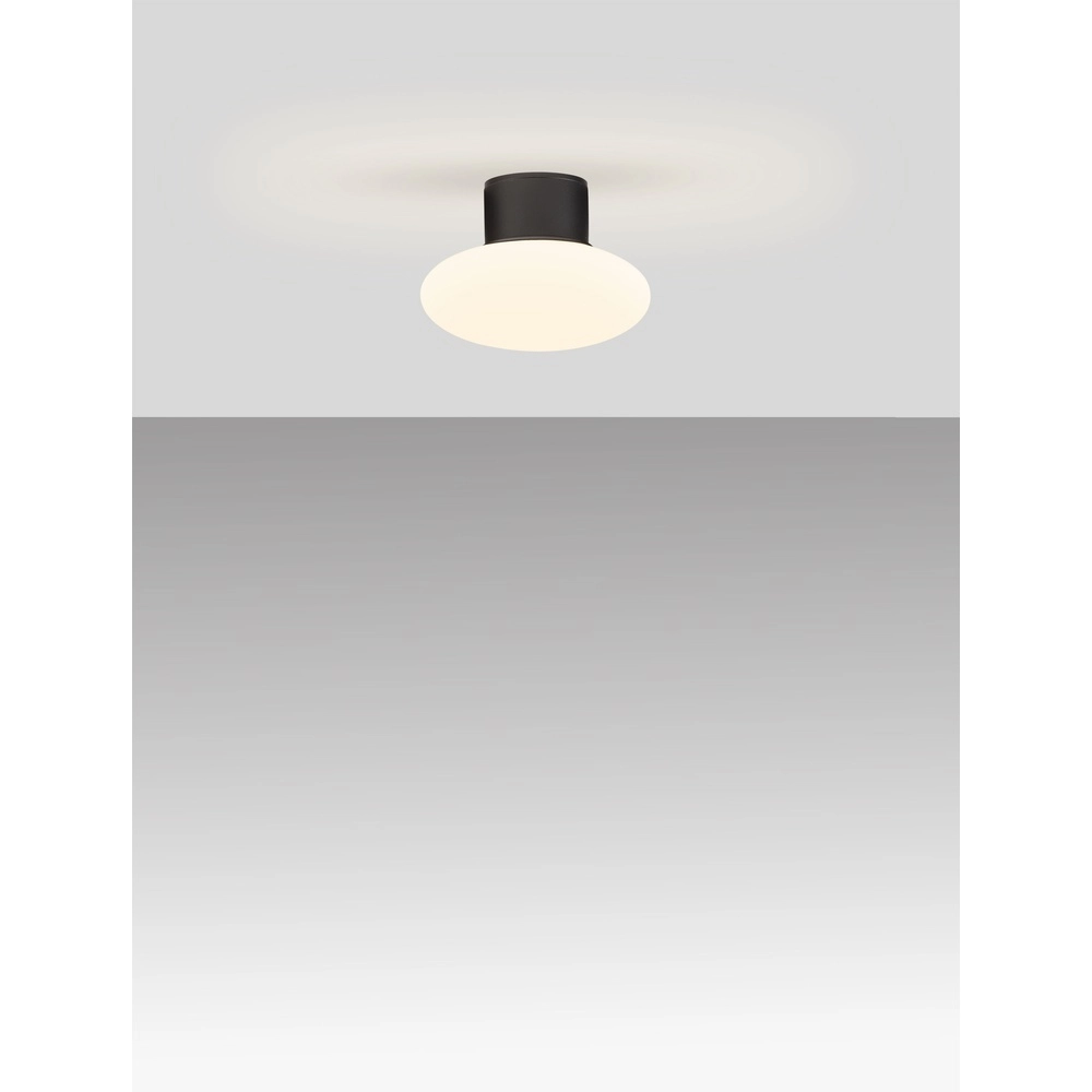 Ceiling lamp Ali anthracite with oval white glass Lyora 5212017476456