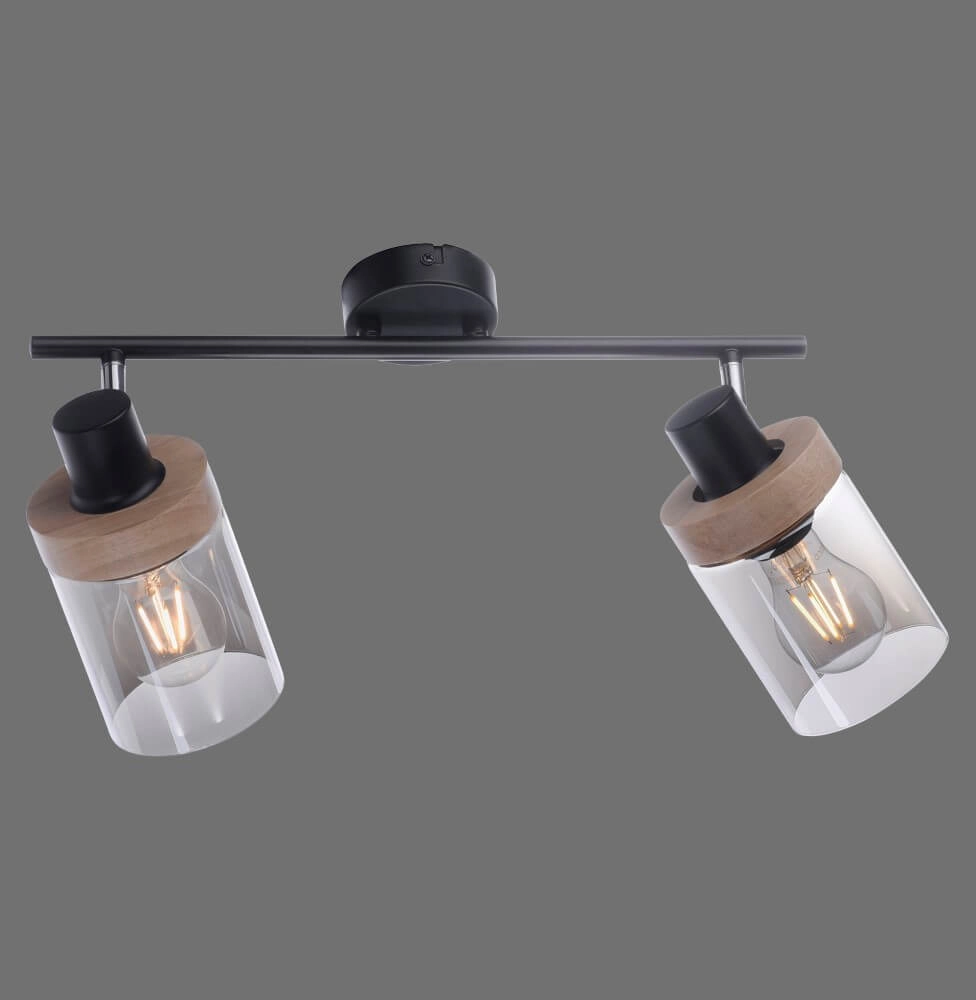 Ceiling lamp Pasqual 2-light black Just Light 4043689986117