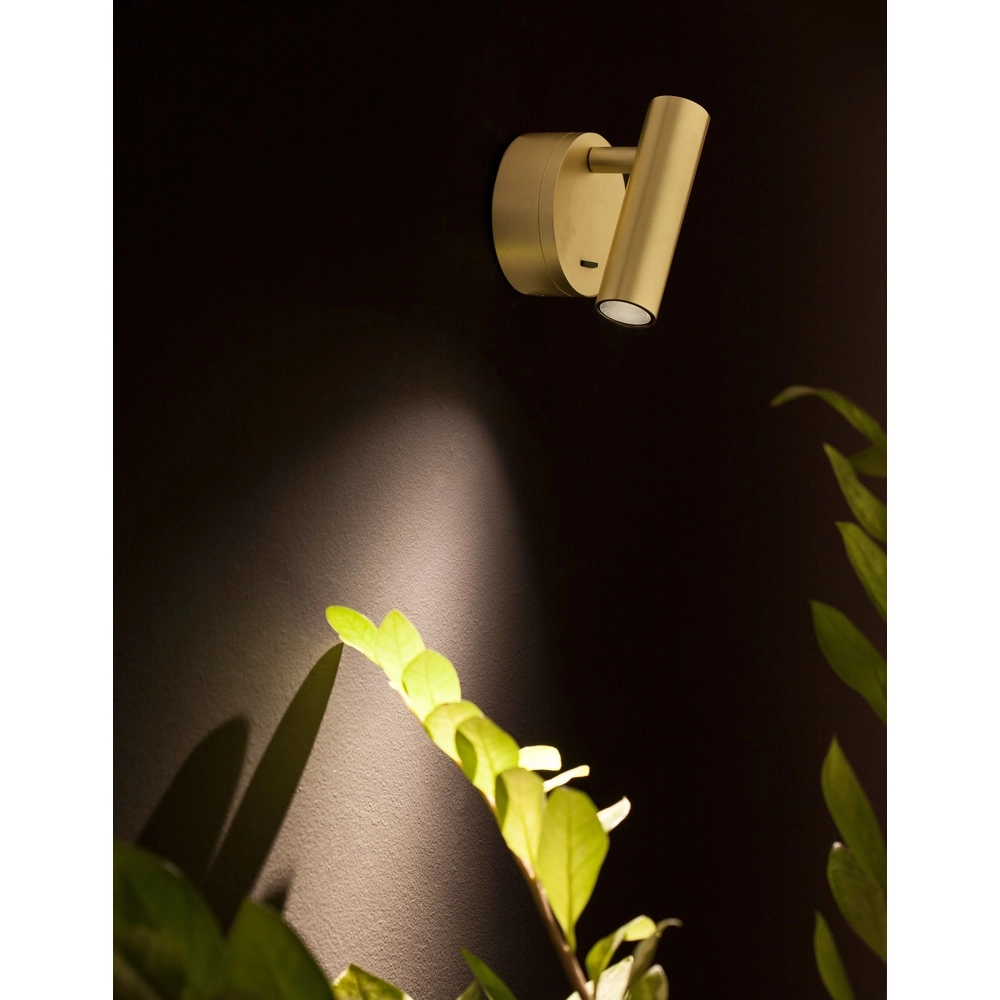 Wall spotlight Clip gold Lyora 5212017417961