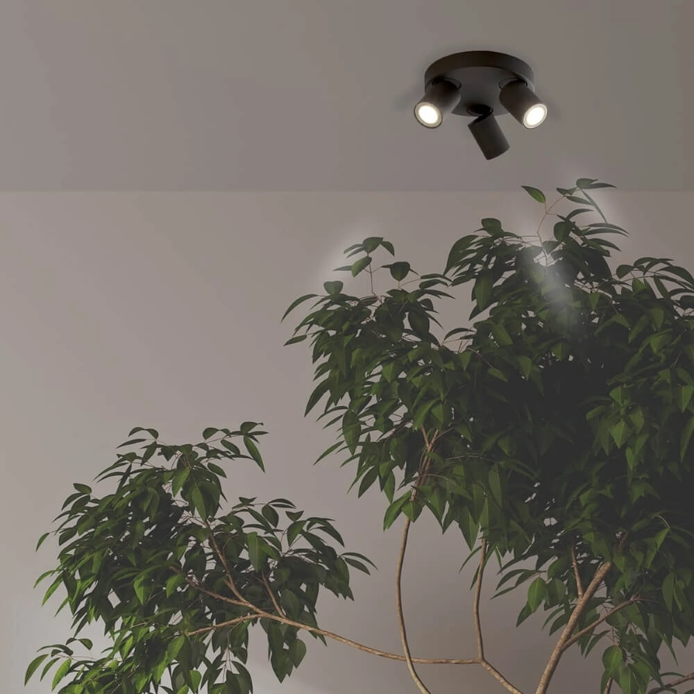 Ceiling lamp Moon 3 Round Black Lyora