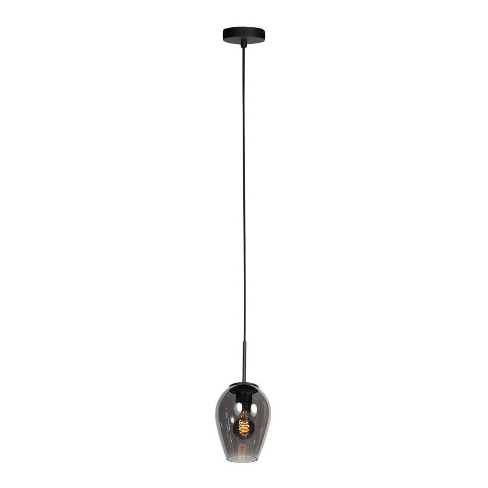 Pendant lamp HaloSwap with 1 smoke glass Ø 15cm Steinhauer 8712746179712