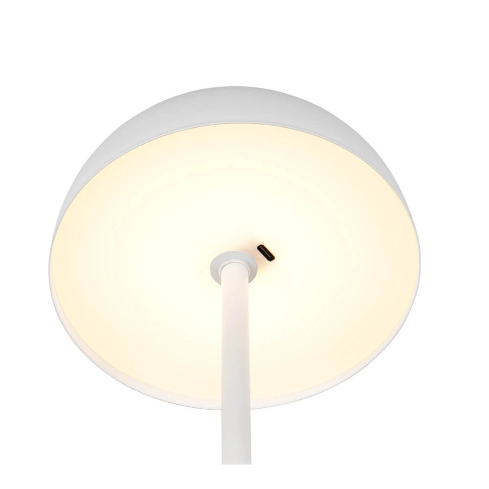 Table lamp Munoz white Ø 13cm Trio 4017807640847