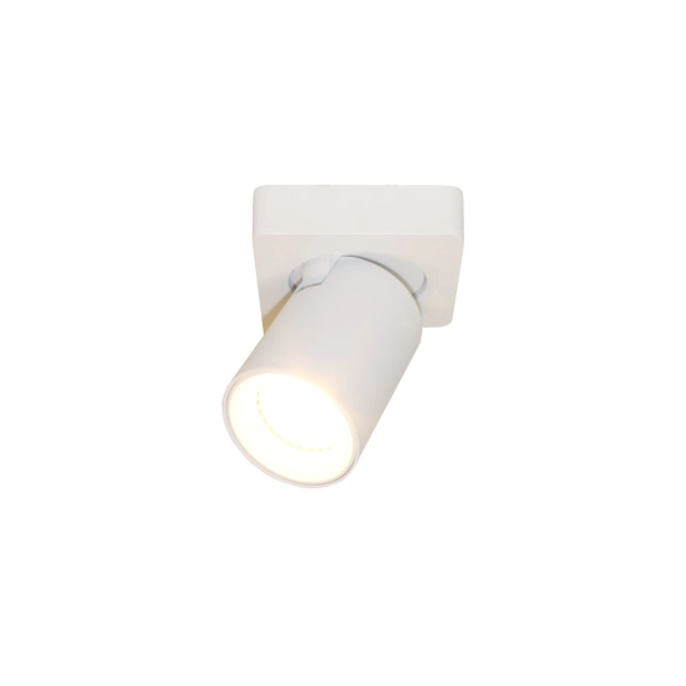 Surface-mounted spot Megano