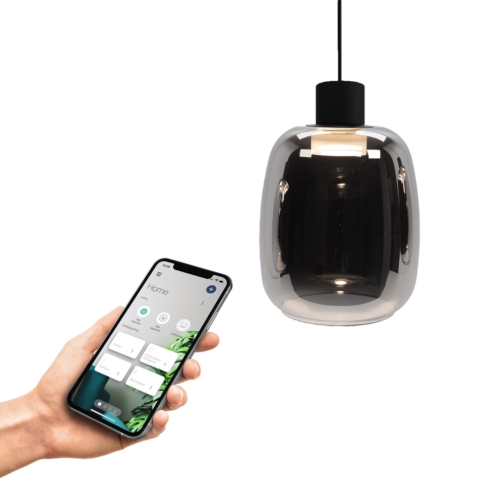 Led pendant light Molochio-Z smoke glass - Zigbee