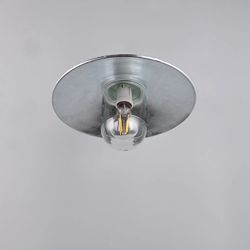 Barn lamp Tana zinc grey Trio 4017807691672