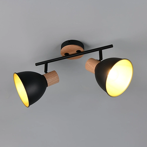 Ceiling lamp Delume Double Black
