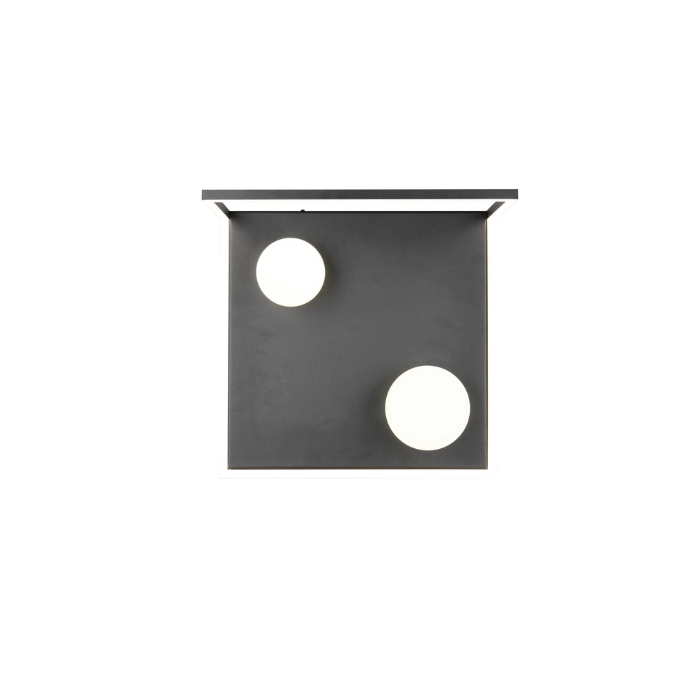Design ceiling lamp Arola Black Trio 4017807683578