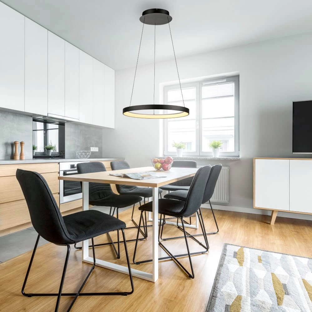 Round pendant lamp Hoop black Paul Neuhaus 4012248384695