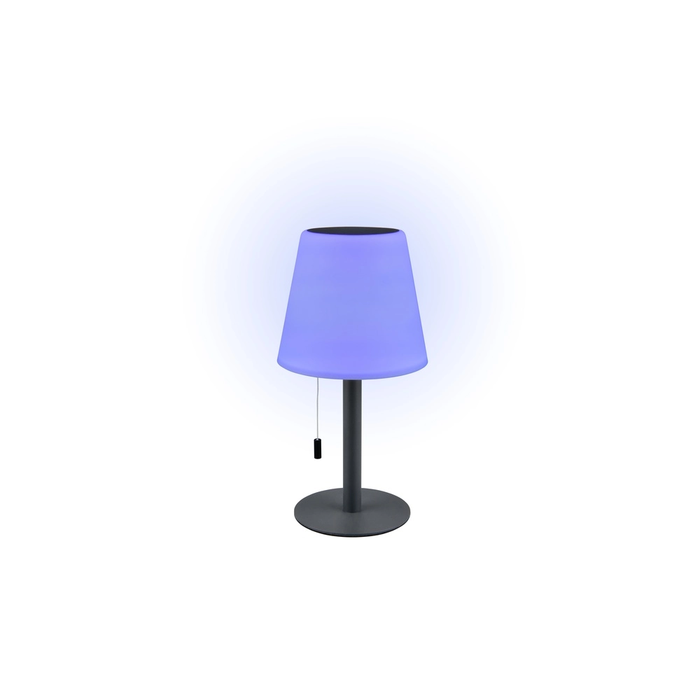 Table lamp Lamure anthracite Trio 4017807699036