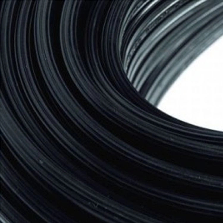 Cable 12 volts CBL-10/2-120 meter In-lite 8717051003417