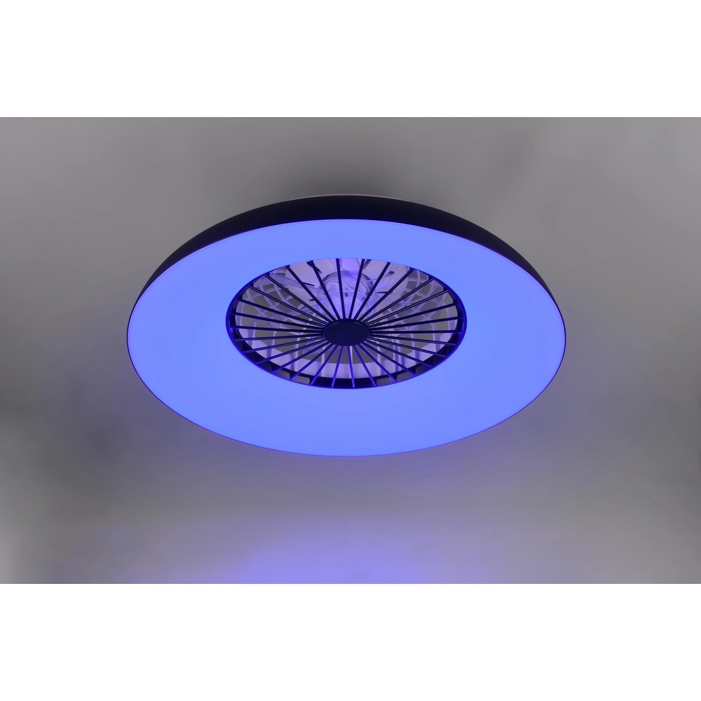 Design fan Svaerholt black Ø 60cm with RGB function Trio 4017807688795
