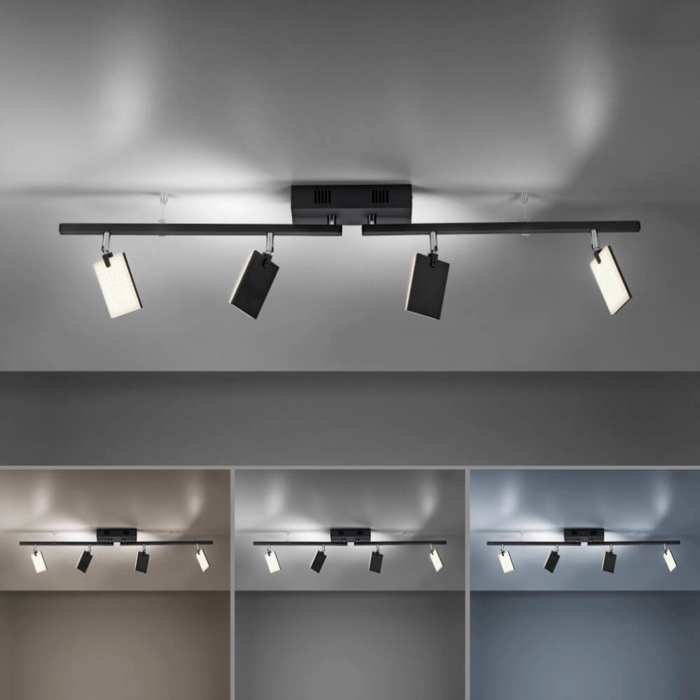 Ceiling lamp Pure Mira 4-light black Paul Neuhaus 4012248359457