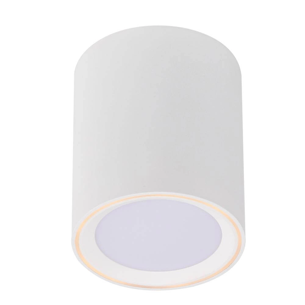White spotlight Fallon 12cm x Ø 10cm Nordlux 5701581415287