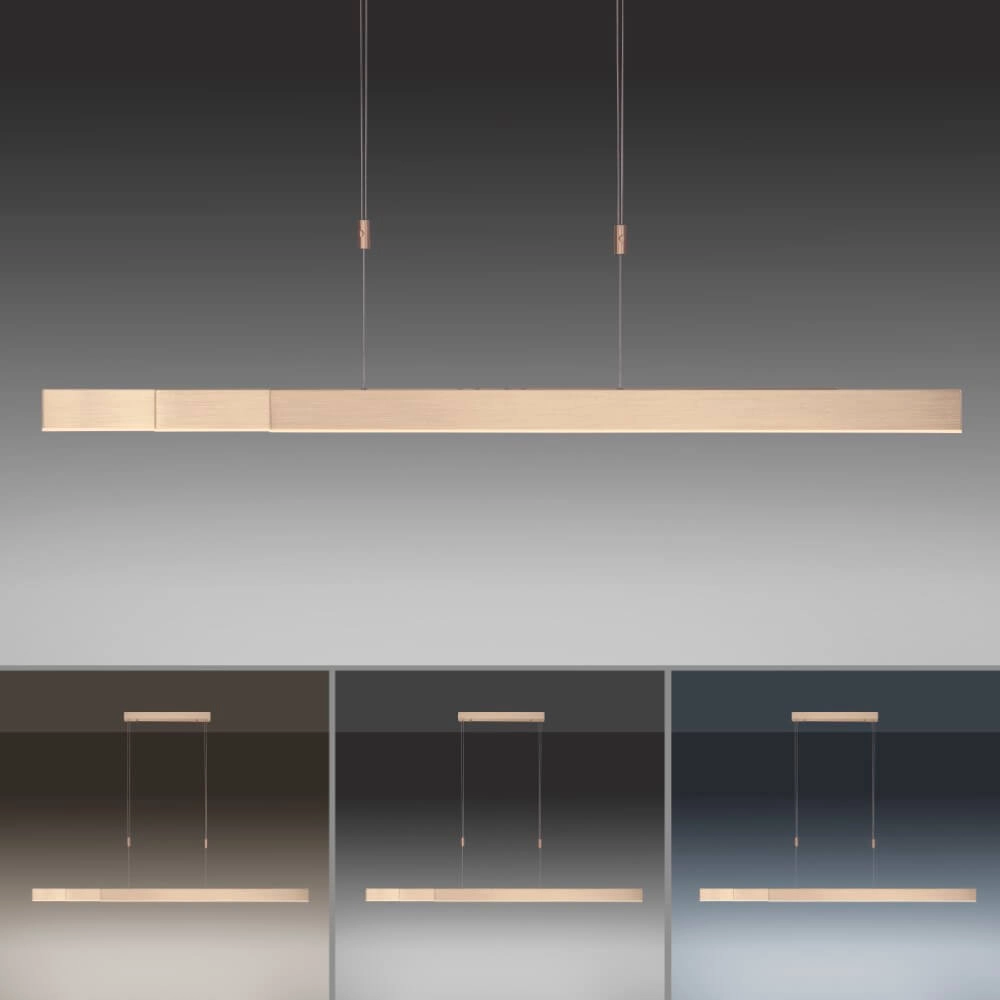 LED hanging lamp Pure-Moto brass matt Paul Neuhaus 4012248363768