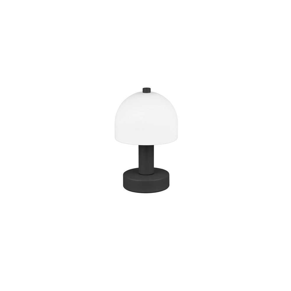 Sleek table lamp Glenn black Trio 4017807613605