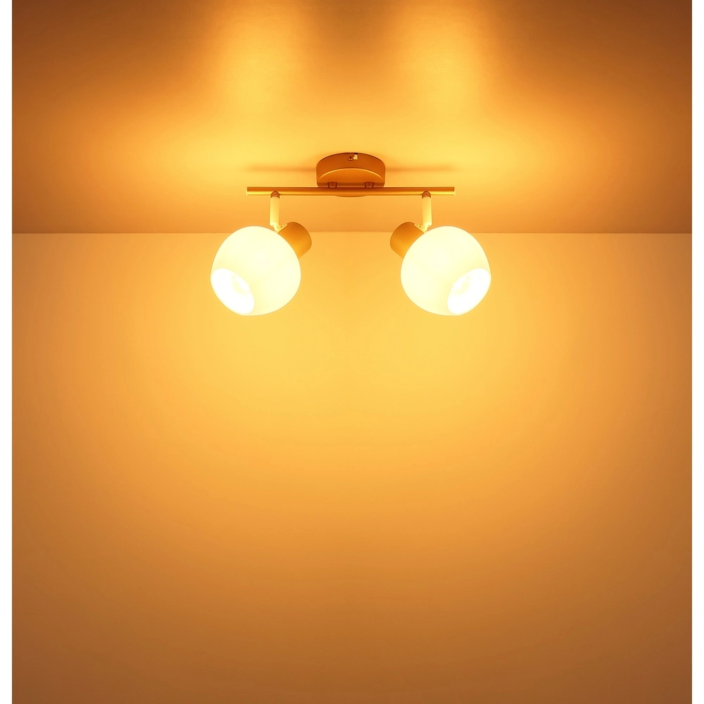 Ceiling lamp Eileen 2-light coffee brown Globo 9007371589562