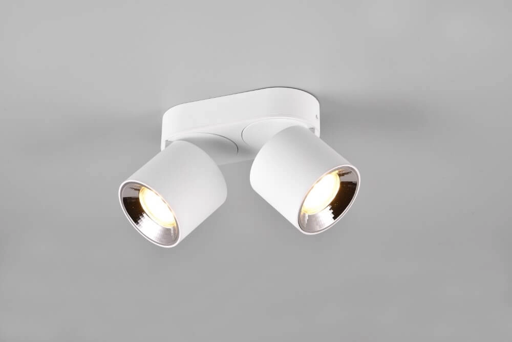 Ceiling light Guayana 2-light white Trio 4017807573954
