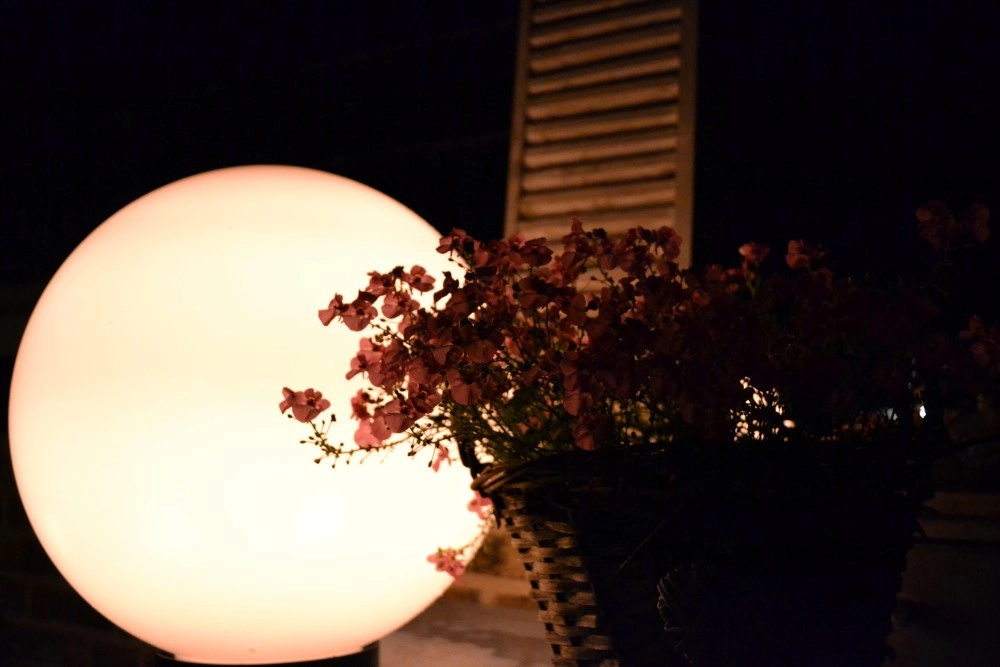 Ball lamp Bolano 20cm. Lyora 8716803507319