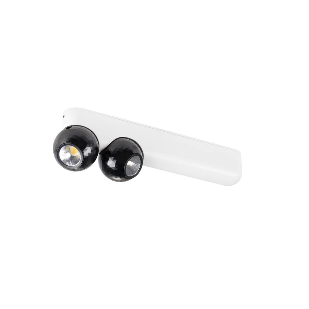 Ceiling lamp Dysko white with black double SLV 4024163317177