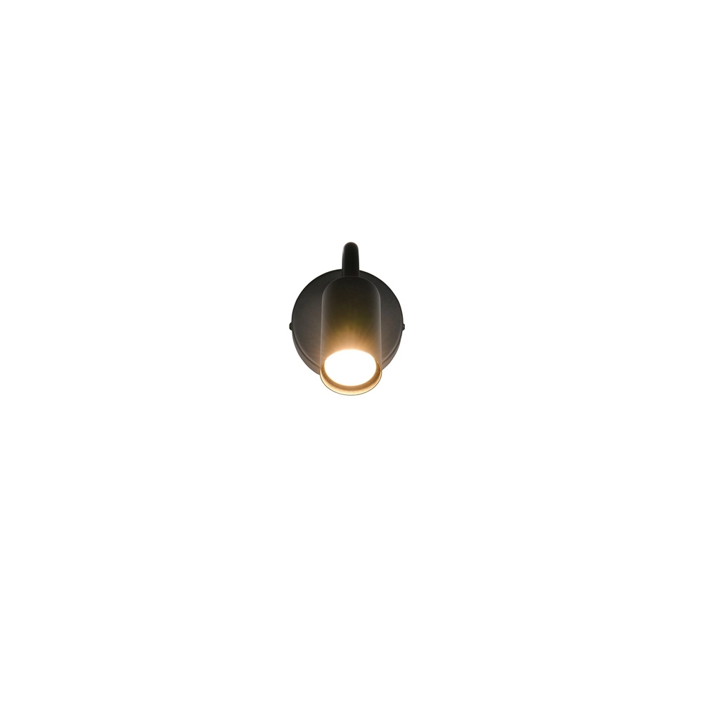 Wall light Taryn Black with switch Trio 4017807685671