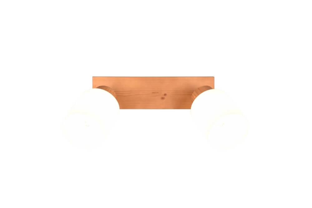 Rural ceiling spotlight Assam 2-light Trio 4017807539790