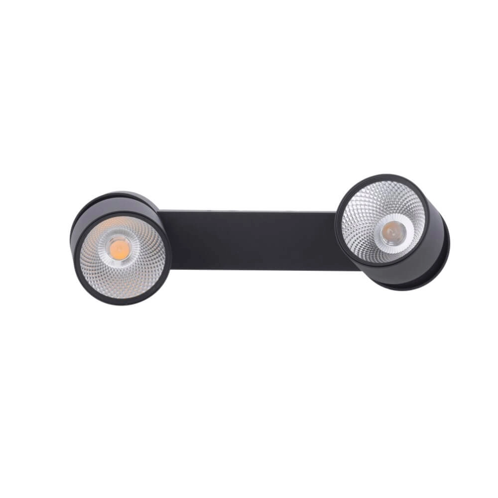 Ceiling lamp Pure Nola 2-light black Paul Neuhaus 4012248372005