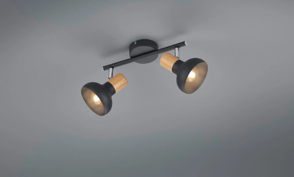 Ceiling light Latika 2-light black Trio 4017807576986