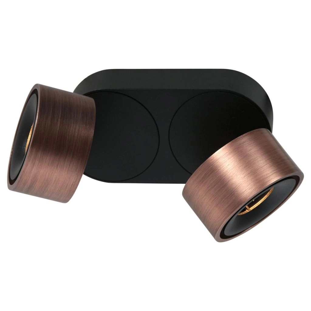 Sleek surface-mounted spot Fez Double bronze Steinhauer 8712746187250