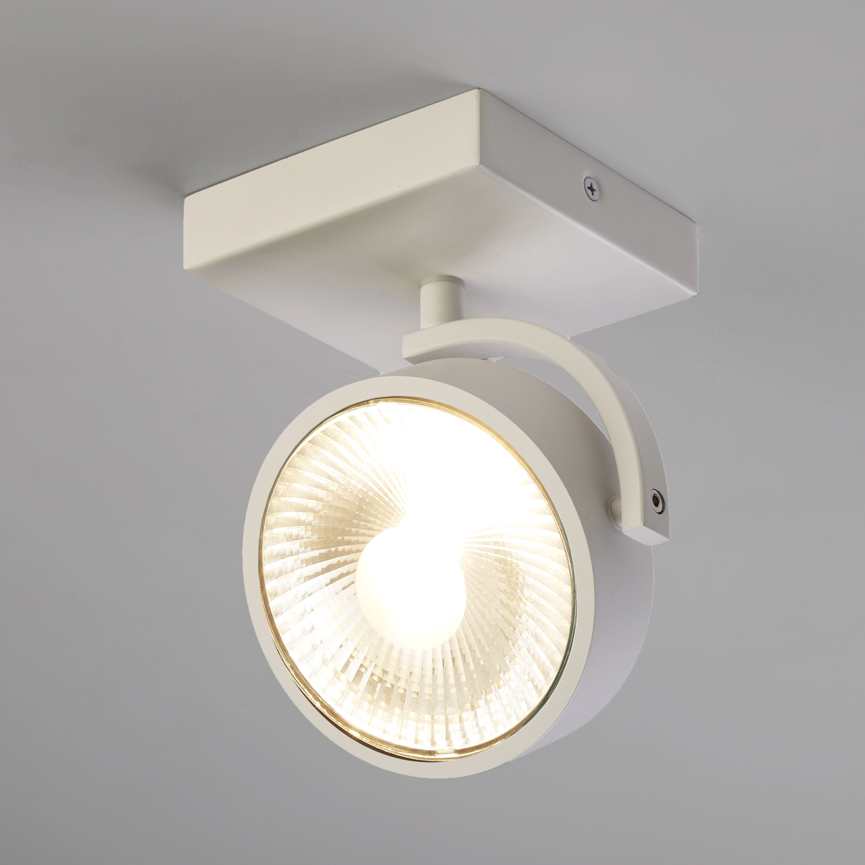 Surface-mounted spot Jupiter industrial white