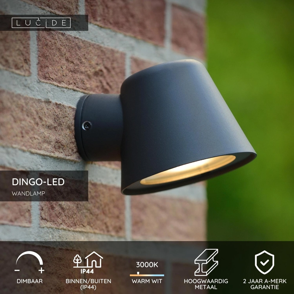 Wall spotlight Dingo-Led IP44 anthracite Lucide 5411212143815