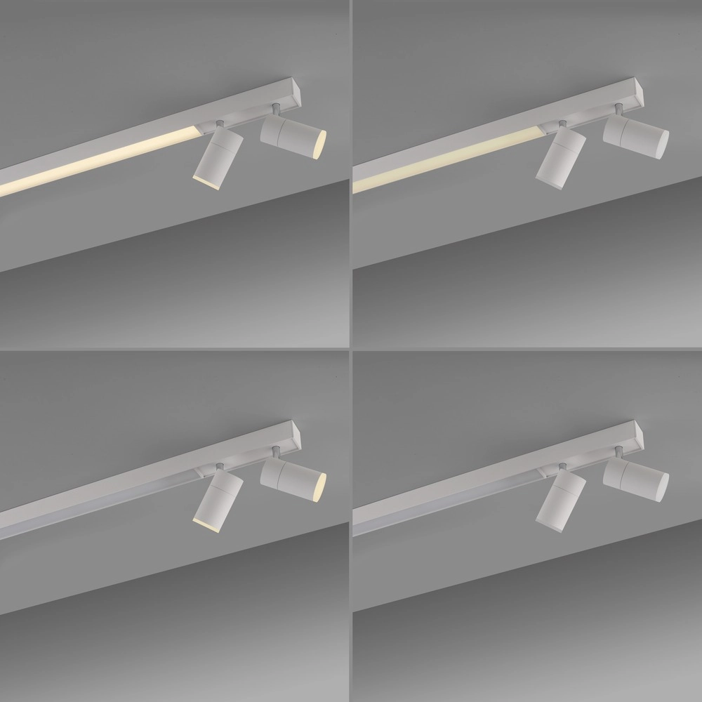 Ceiling surface-mounted spot Pure Lines Spot 110cm - white Paul Neuhaus 4012248395837