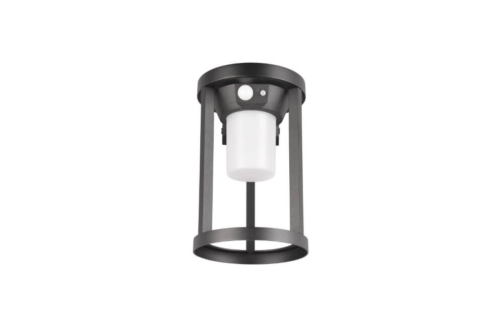 Wall lamp Carmo black Trio 4017807564235