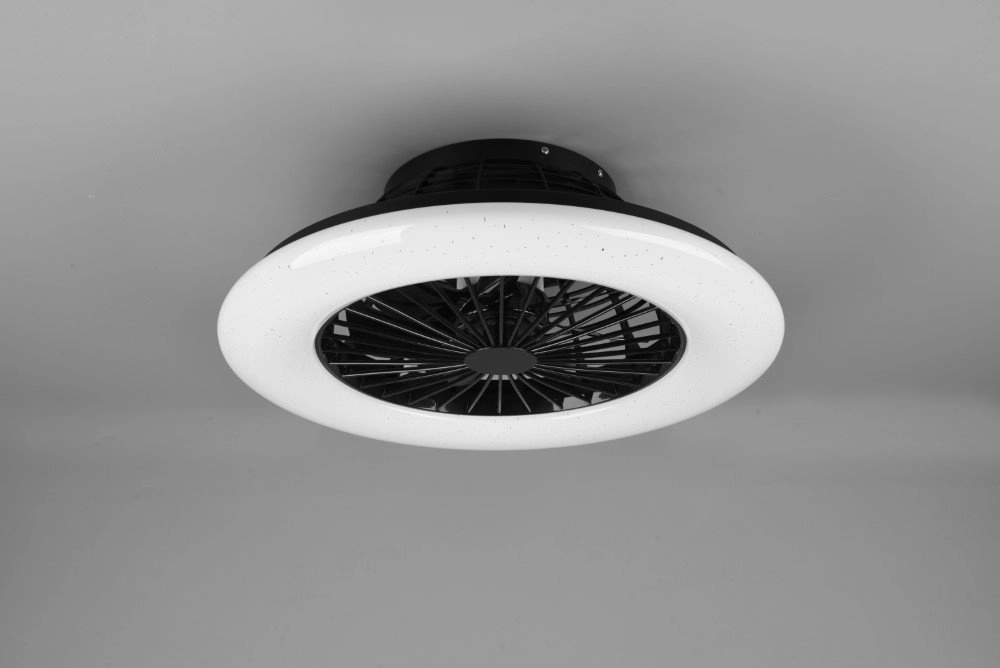 Black ceiling fan Stralsund Trio 4017807491098