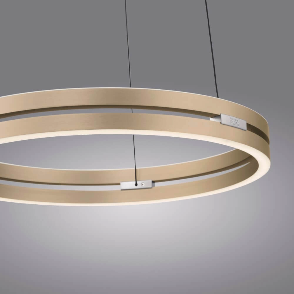 Sleek hanging lamp Pure E-Loop brass Paul Neuhaus 4012248372265