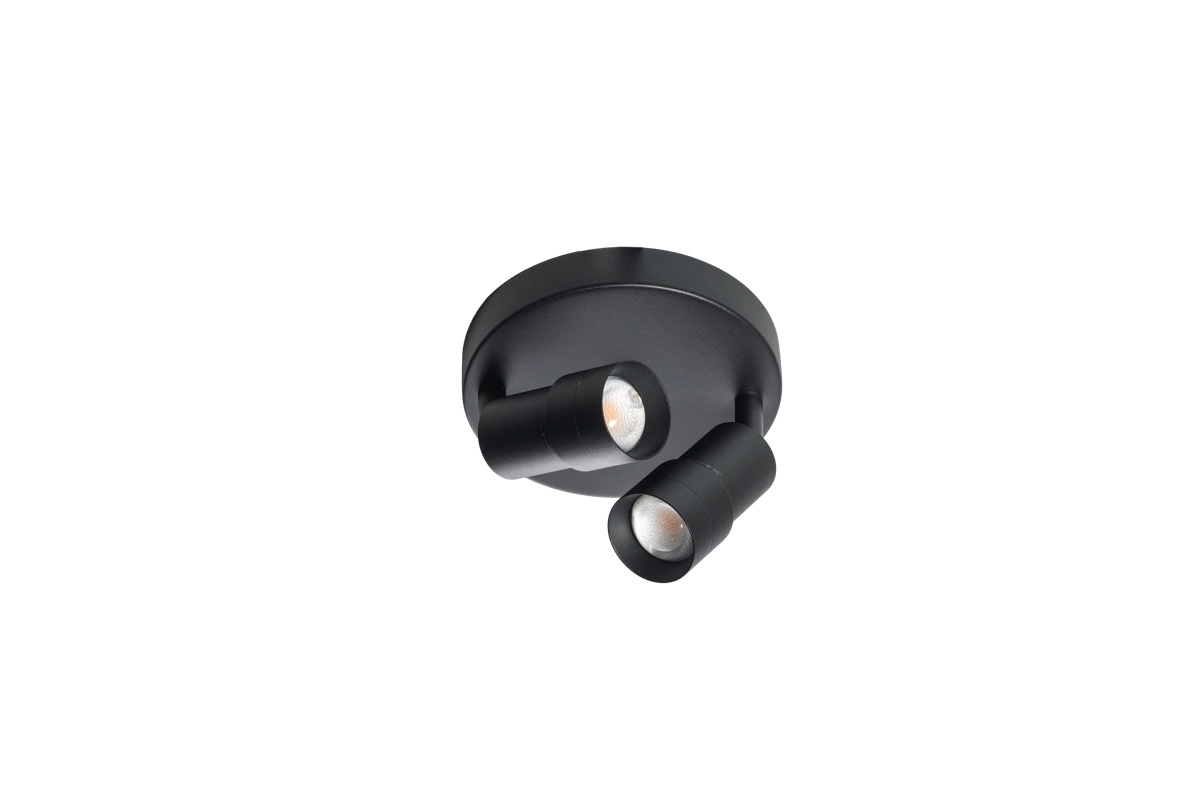 Surface mounted spot 2x led Liam black - round