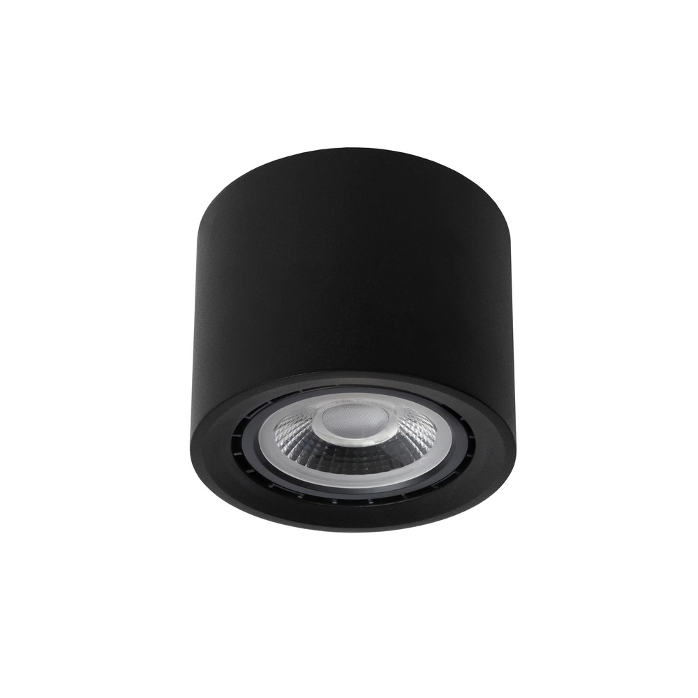 Ceiling spot Ø 12cm Fedler GU10 ES111 black