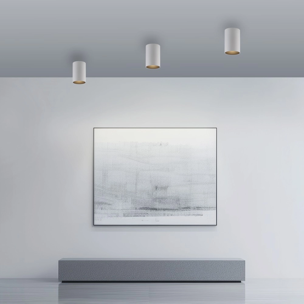 Ceiling surface-mounted spot Pure Point Ø 6cm - white Paul Neuhaus 4012248395660