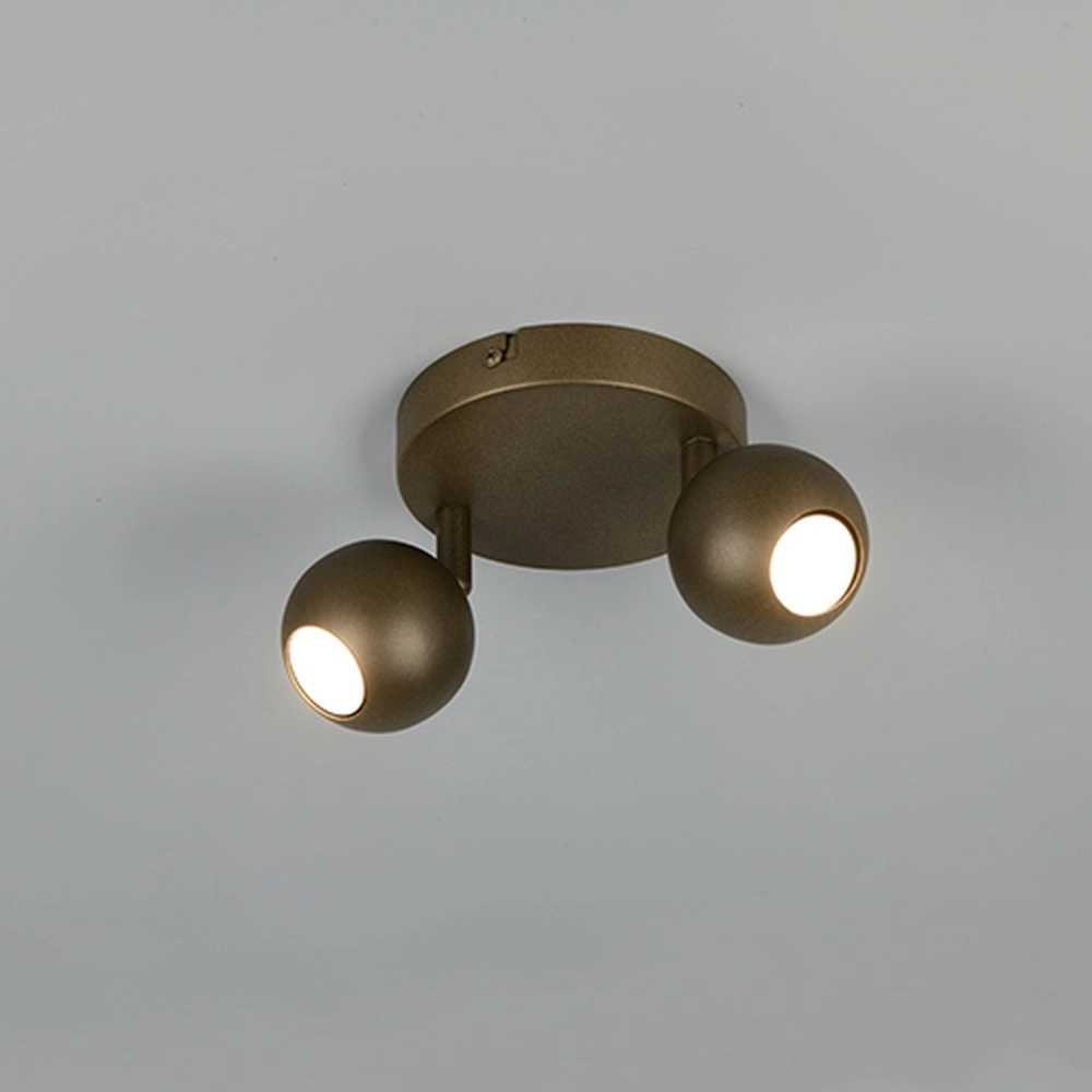 Surface-mounted spot Enaro 2-light platinum