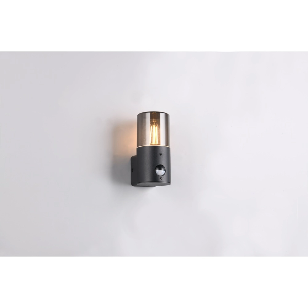 Wall lamp Hoosic only with sensor Trio 4017807603620
