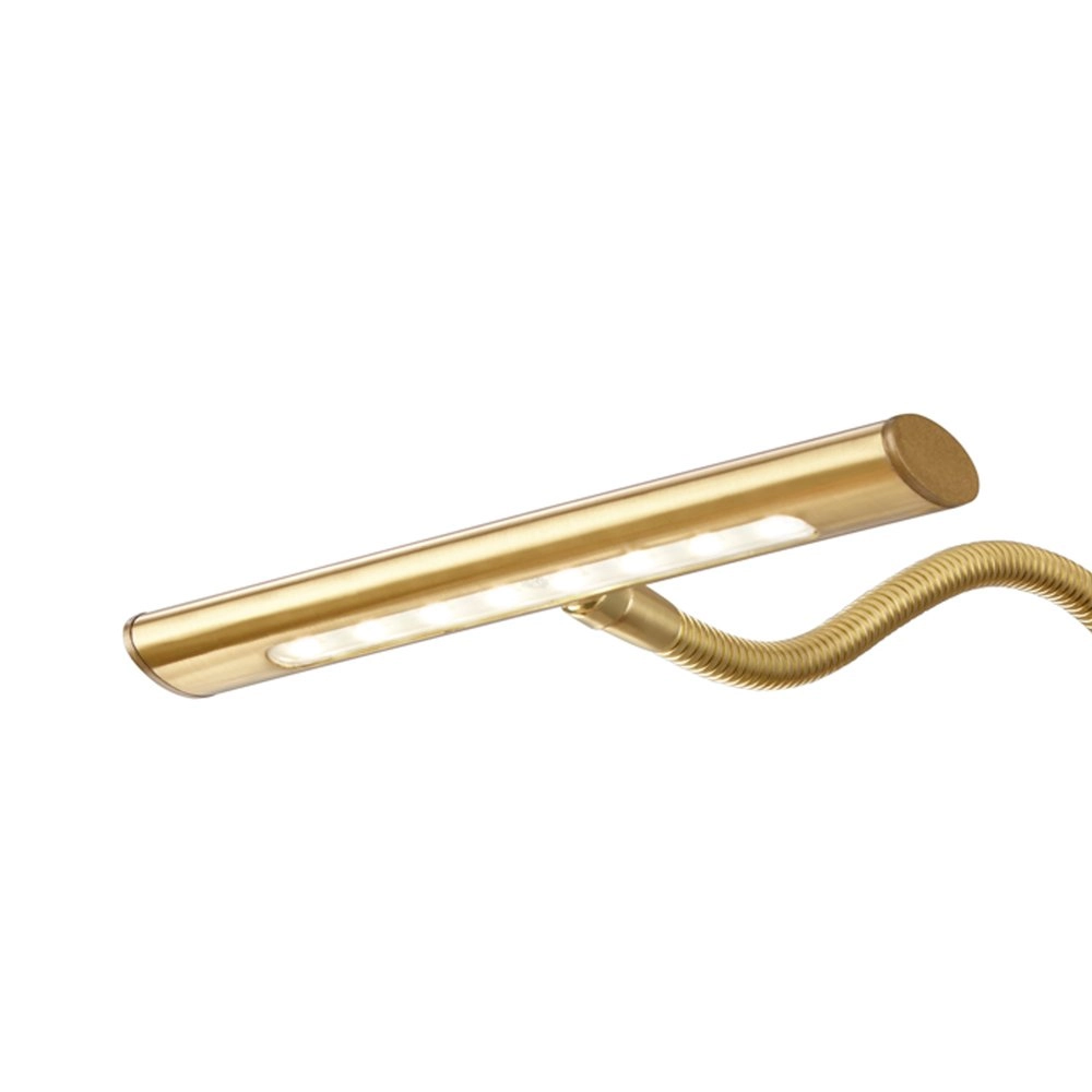 LED reading light Curtis brass matt Trio 4017807275360