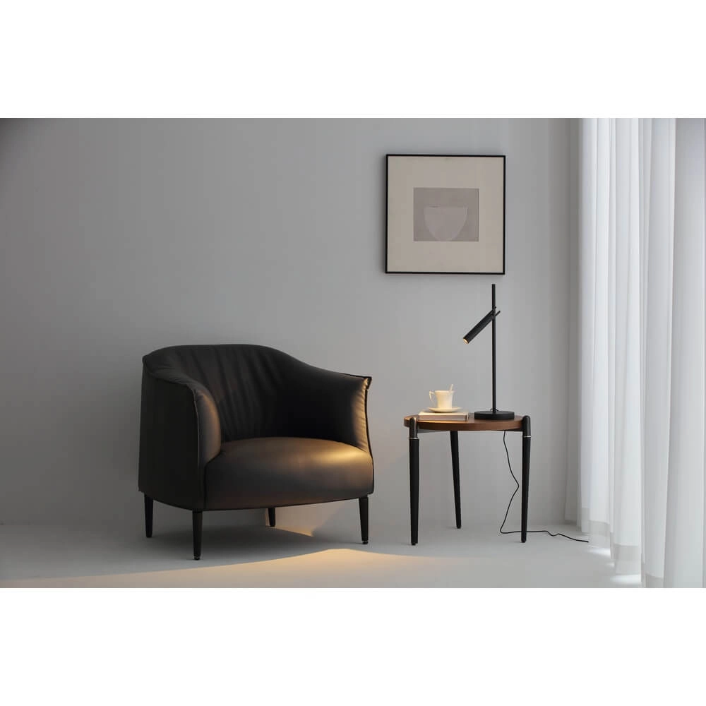 Modern led ceiling light Nydle 2-light Lyora 4255805301067