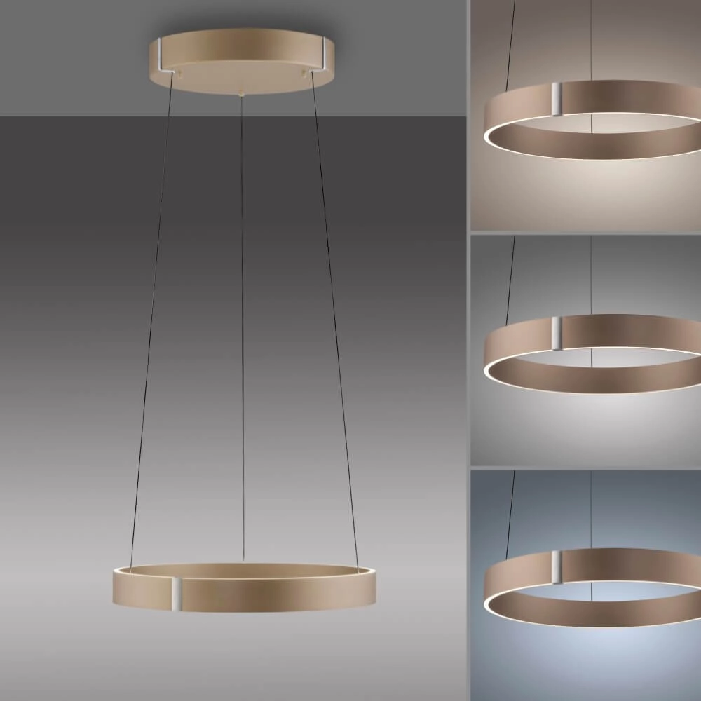 Round hanging lamp Pure E-Clipse bronze Ø 50cm Paul Neuhaus 4012248386408