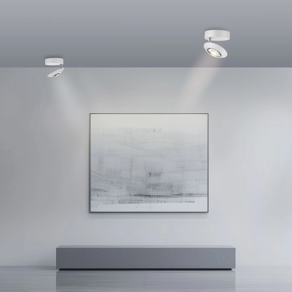 Led ceiling spot Pure Oculis white Paul Neuhaus 4012248397046